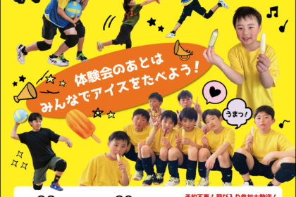 チラシ